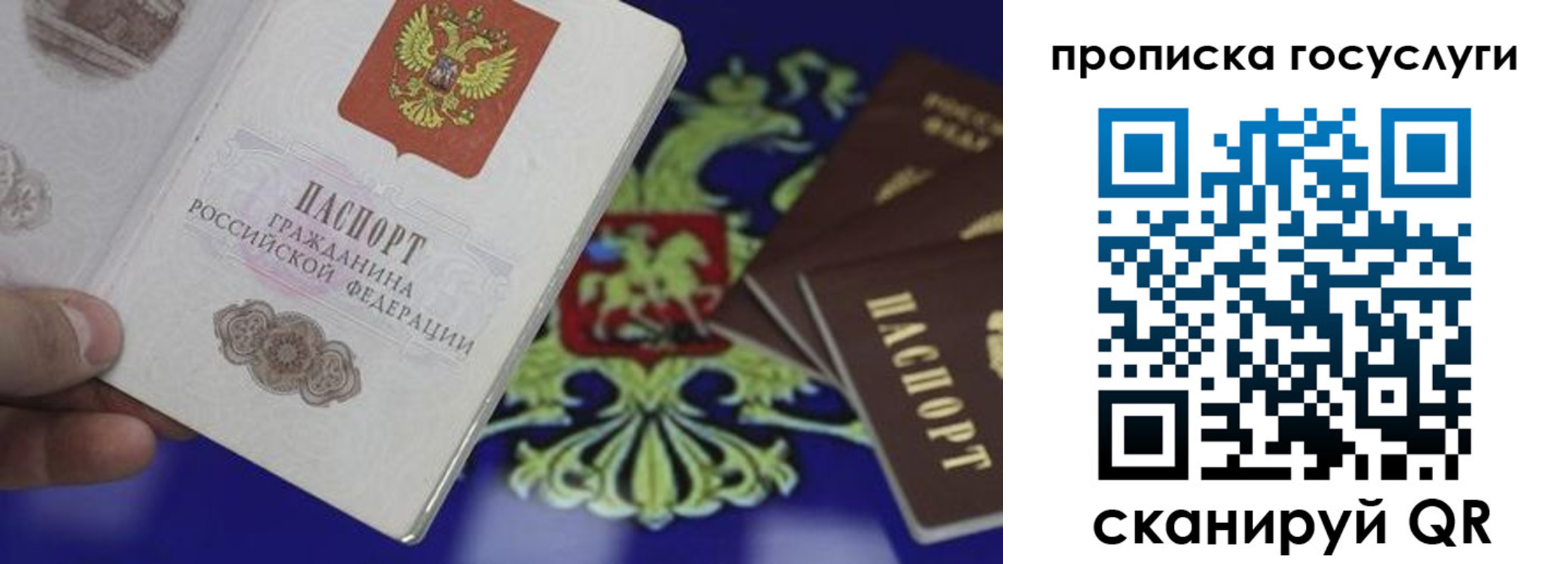 прописка для школы в Сураже